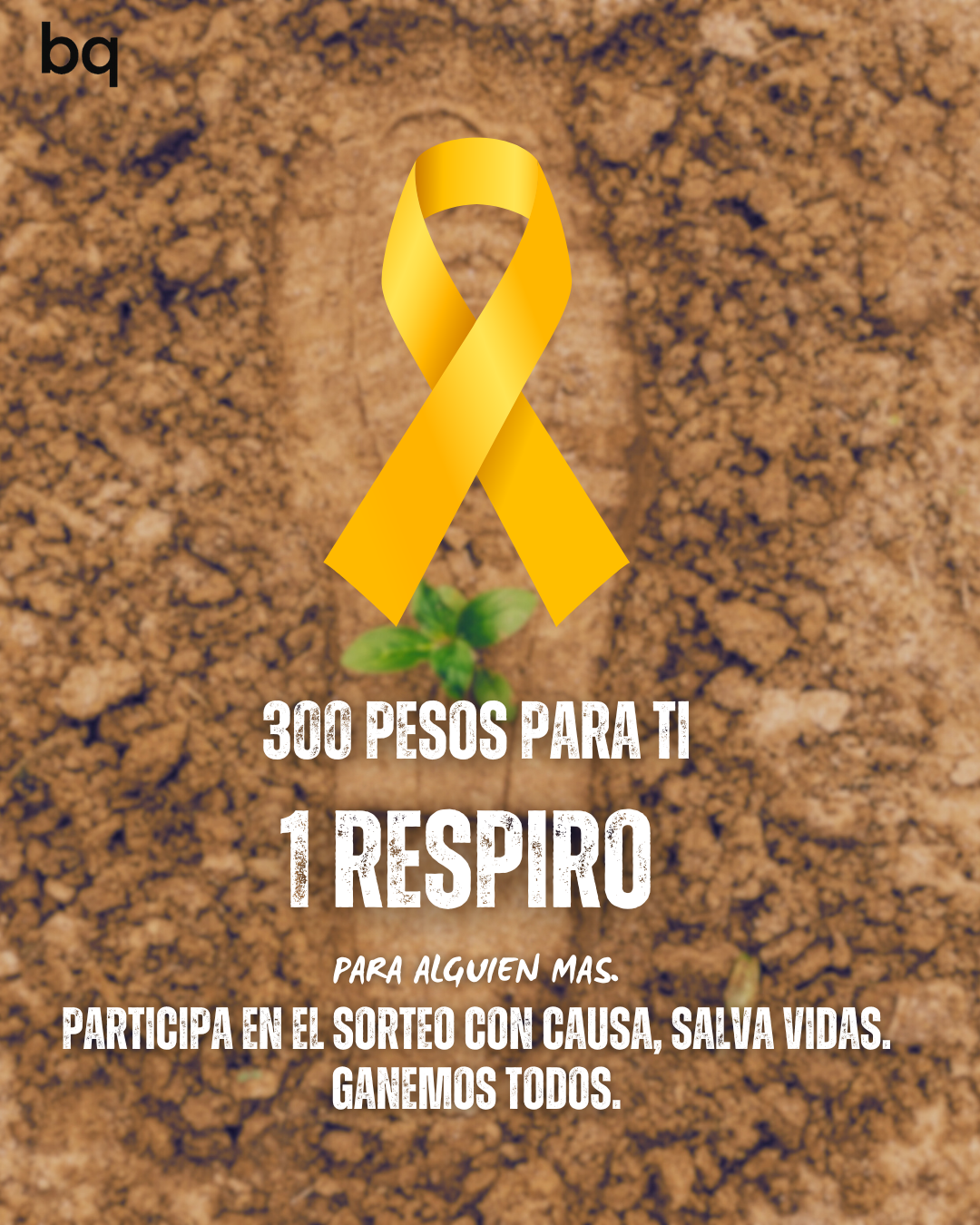 Boleto para Sorteo BQ Solidarity